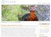 Screenshot of Simplicity, a theme for Plone 3
